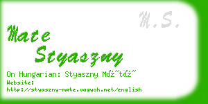 mate styaszny business card